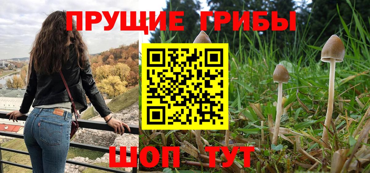 Псилоцибиновые грибы Magic Shrooms  Вход с VPN  Россия 